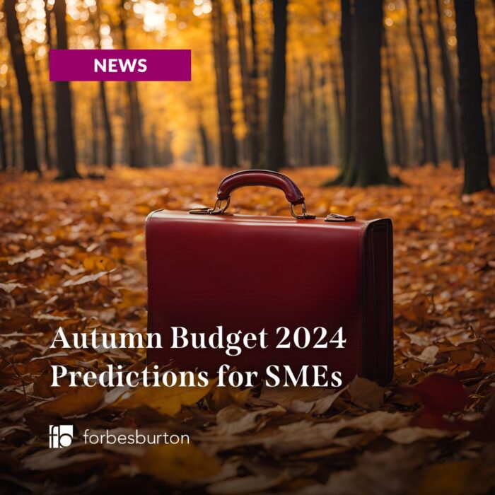 Red case in autumnal forest to symbolise the autumn budget