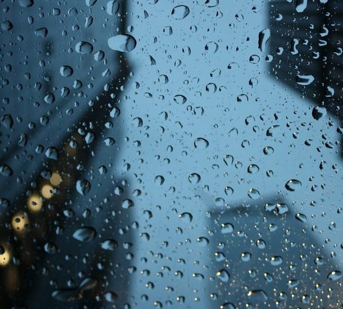 should i liquidate my company