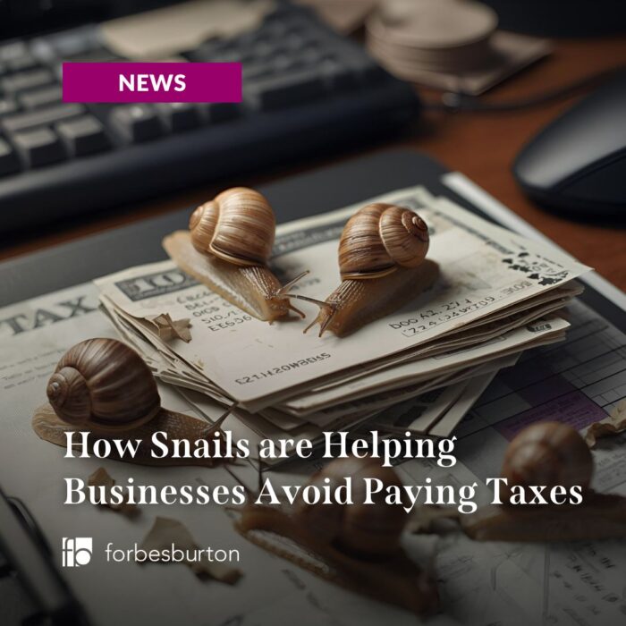 snails over tax documents