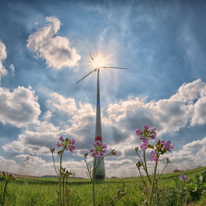Wind turbine on sunny day